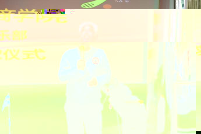 49cc6e452c682f7622d265e4d985f65