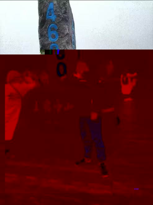 webwxgetmsgimg